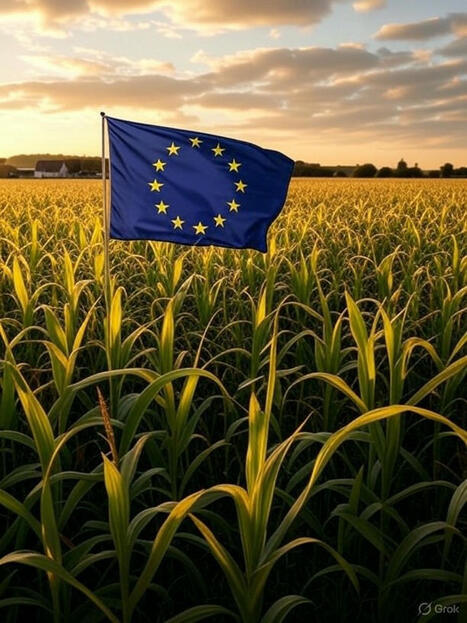 EU: the New  EU Regulations for NGT in the midst of parlementary turbulences  | EUROPES | Scoop.it