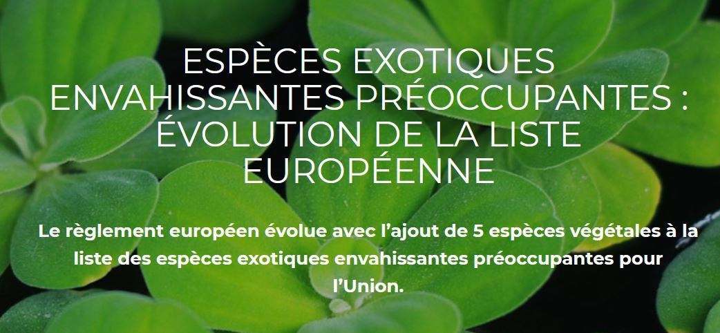 esp-ces-exotiques-envahissantes-pr-eacut