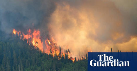 Wildfires turn Canada’s vast forests from carbon sink into super-emitter | Canada wildfires | The Guardian | Agents of Behemoth | Scoop.it