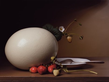 Painting with a Camera: Sharon Core's Early American | Digital Photography | Scoop.it
