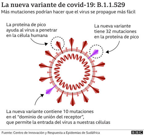 Ómicron: ¿cómo pueden los científicos actualizar las vacunas contra el coronavirus para la nueva variante? | Bioquímica, Genomica y Salud | Scoop.it