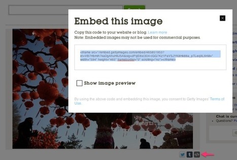 WordPress: Announcing New Embed Support for Getty Images | Latest Social Media News | Scoop.it