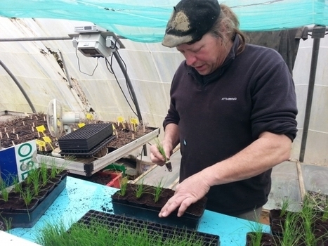 France Bleu | Un maraicher sarthois chantre de la biodiversit&eacute; | Biodiversit&eacute; | Scoop.it