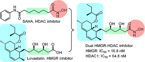 Design and Synthesis of Dual-Action Inhibitors Targeting Histone Deacetylases and 3-Hydroxy-3-methylglutaryl Coenzyme A Reductase for Cancer Treatment | Natural Products Chemistry Breaking News | Scoop.it