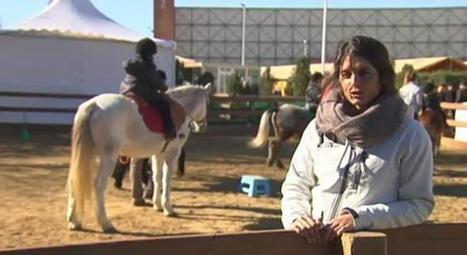 Los caballos españoles muestran su belleza y raza en la SICAB - ABC.es | Caballo, Caballos | Scoop.it