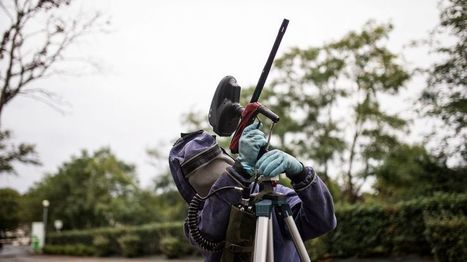 Indre : un pistolet utilisé par les pompiers pour détruire sans danger les nids de frelons asiatiques | Variétés entomologiques | Scoop.it