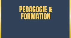 LE PUZZLE EN FORMATION | L'INNOVATION P&Eacute;DAGOGIQUE | Scoop.it