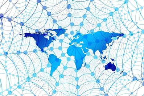 L&rsquo;intelligence collective : Internet face &agrave; la complexit&eacute; | EntomoScience | Scoop.it