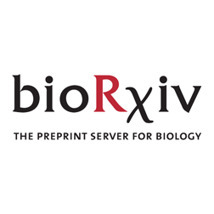 Superior intracellular detection of cytokines, transcription factors, and phosphoproteins by CyTOF compared with fluorescent cytometry | bioRxiv | from Flow Cytometry to Cytomics | Scoop.it