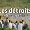 Biodiversité