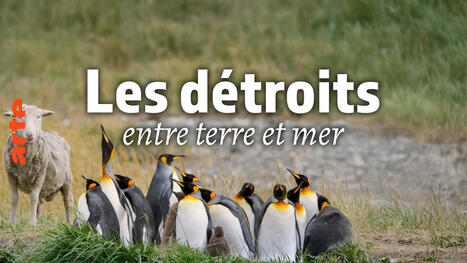 Les détroits, entre terre et mer - Arte | Biodiversité | Scoop.it