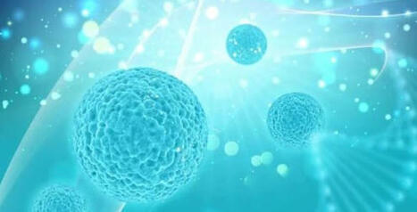 Cost of CAR T Cell Therapy in China | Healthcare: reloaded... | Scoop.it