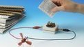 Bio battery turns paper to power | omnia mea mecum fero | Scoop.it