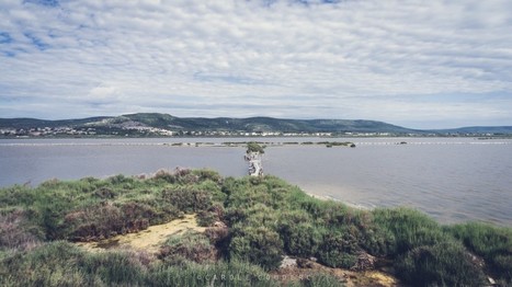 Idées d'activités autour de l'étang de Thau | | Loisirs Nautiques dans l'Hérault | Scoop.it