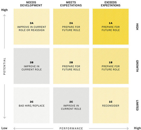 Assessment Tools: Evaluating Employee Performance Against Potential | Connection | Scoop.it