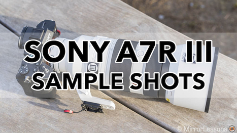 Gallery of Sony A7r III Sample Images (RAW & SOOC JPGs) | Mirrorless Cameras | Scoop.it