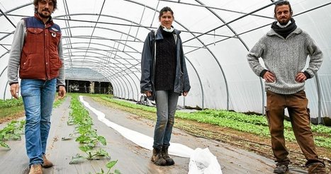 La ferme urbaine de Bois-du-Ch&acirc;teau continue de tourner - Lorient | L'actualit&eacute; des quartiers politique de la ville de Bretagne et Pays de la Loire | Scoop.it