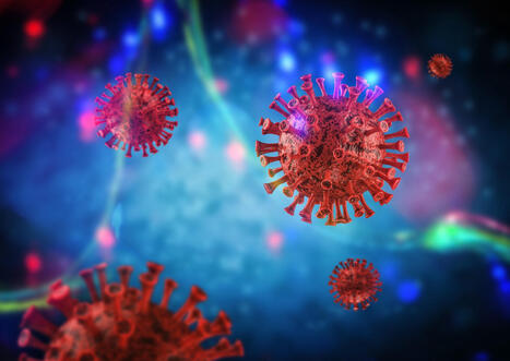 Intranasal vaccine shows broad SARS-CoV-2 variant protection | Immunology and Biotherapies | Scoop.it
