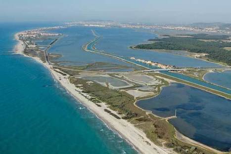 Un décret clarifie l'action foncière du Conservatoire du littoral | Biodiversité | Scoop.it