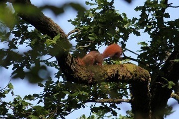 Tribulations d&rsquo;un Maitre de Conf&rsquo; en Stage 2/3 | Strange Stuff and Funcky Things | Caf&eacute; des Sciences | Scoop.it