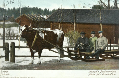 Mitk&auml; ihmeen h&auml;rk&auml;viikot? | 1Uutiset - Lukemisen t&auml;hden | Scoop.it