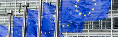 Fluorure de sodium&nbsp;: proposition&nbsp;de classement comme perturbateur endocrinien et toxique pour&nbsp;la&nbsp;reproduction | Anses&nbsp; | Pr&eacute;vention du risque chimique | Scoop.it