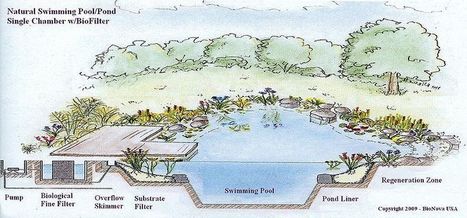 natural swimming pool | Eco-Friendly Lifestyle | Scoop.it