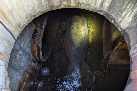 Manatee rescued from Florida storm drain is on the mend | Coastal Restoration | Scoop.it