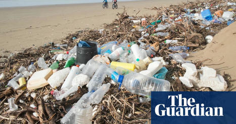 Survey finds that 60 firms are responsible for half of world’s plastic pollution | Plastics | The Guardian | consumer psychology | Scoop.it