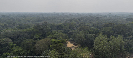 RDC : une loi historique pour une gestion foncière inclusive et durable | Ecosystèmes Tropicaux | Scoop.it