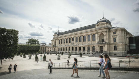 18/09/2025 - Une enquête ouverte après le vol de pépites d'or "exceptionnelles" au Muséum d'Histoire naturelle - Brève | infos-web | Scoop.it
