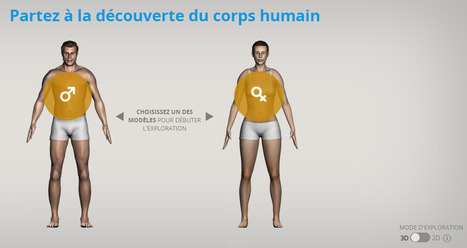 Corpus - Partez à la découverte du corps humain | Time to Learn | Scoop.it