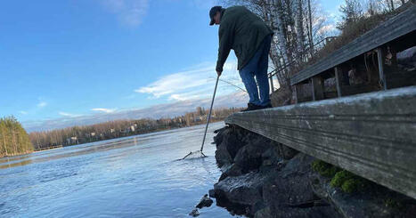Muikkuparvet katosivat Vuokselta – kalastajat ihmeissään | Etelä-Karjala | Yle | 1Uutiset - Lukemisen tähden | Scoop.it