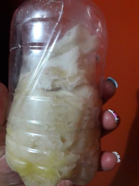 Reporte escrito #5 chucrut | As&oacute;mate | Educaci&oacute;n, TIC y ecolog&iacute;a | Scoop.it