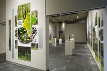 El Museo de Navarra ofrece visitas guiadas gratuitas a la exposición temporal Arte y Paisaje | Ordenación del Territorio | Scoop.it