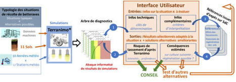 Pr&eacute;vibest : pr&eacute;venir les risques de tassement des sols en syst&egrave;mes betteraviers - Agro-transfert | Pour innover en agriculture | Scoop.it