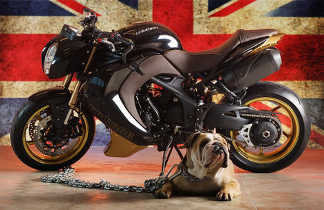 Vilner Bulldog | Custom Triumph Speed Triple ~ Grease n Gasoline | Cars | Motorcycles | Gadgets | Scoop.it