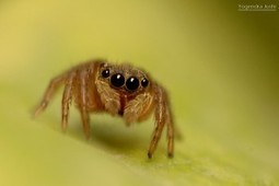 Is there any business that cannot benefit from digital-social marketing? | Speakers-Trusted Advisors-Consultants | Scoop.it