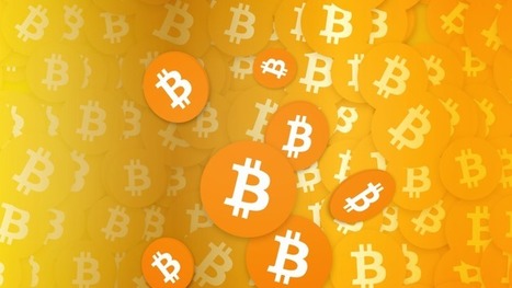 bitcoin creator download
