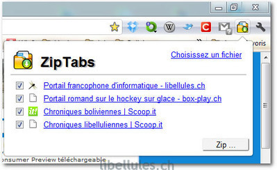 ZipTabs - Le blog de libellules.ch | Geeks | Scoop.it