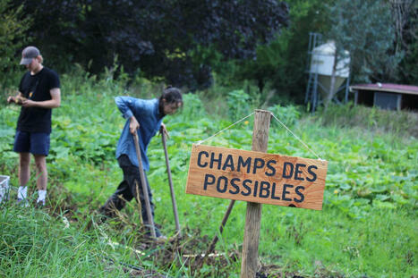 Emploi et transition écologique : quels métiers pour demain ? - Fondation terres solidaires | Pour innover en agriculture | Scoop.it
