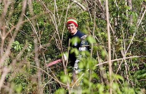 California college students delve into wetlands conservation | Coastal Restoration | Scoop.it