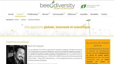 "BeeOdiversity" : un site internet un peu trop vert ? | EntomoScience | Scoop.it