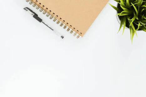 Un webinaire pour explorer le r&ocirc;le des cours d'&eacute;cole dans l'adaptation climatique | Urbanisme - Am&eacute;nagement | Scoop.it