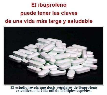 El ibuprofeno puede tener las claves de una vida más larga y saludable | PIENSA en VERDE | Scoop.it
