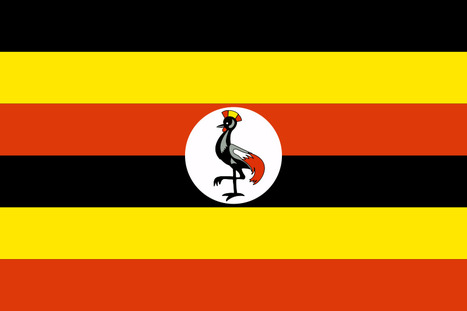 Ouganda: l'opposition rejette les résultats d'une parodie d'élections | Actualités Afrique | Scoop.it