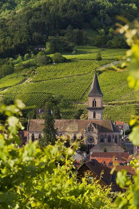 [Jeudi 6 mars &agrave; Strasbourg] Journ&eacute;e d'Actualit&eacute; - Quel devenir pour les &eacute;glises et autres lieux de culte en Alsace-Moselle ? | Actu Archi-Urba-Environnement-Paysage | Scoop.it