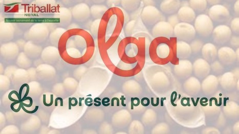 Protéines végétales : Triballat Ingrédients change de nom | Lait de Normandie... et d'ailleurs | Scoop.it