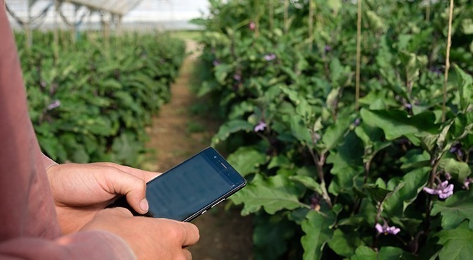 « Agrilocal » le portail qui met en relation les producteurs locaux et les acheteurs publics | Alim'agri