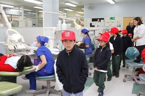 Conectivismo: Creatividad e innovaci&oacute;n en un mundo complejo ... | Edumorfosis.it | Scoop.it